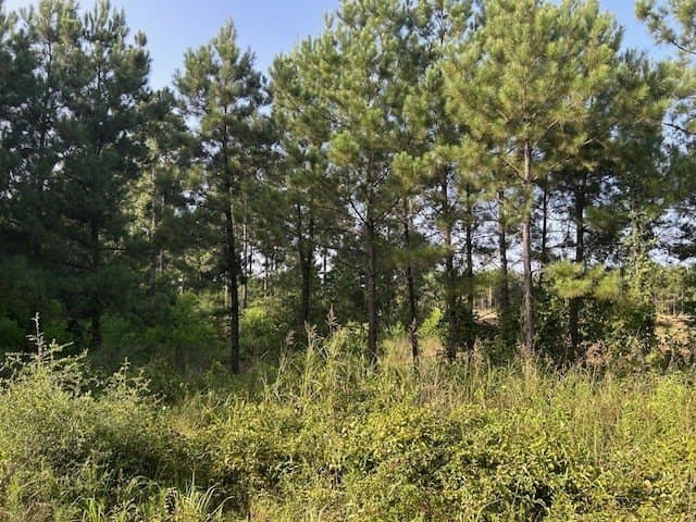 10.71 acres in Texas County - photo 2