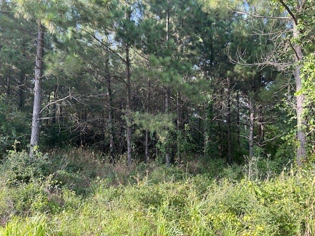 10.71 acres in Texas County - photo 3