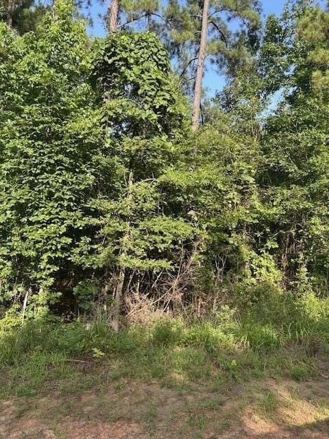 10.71 acres in Texas County