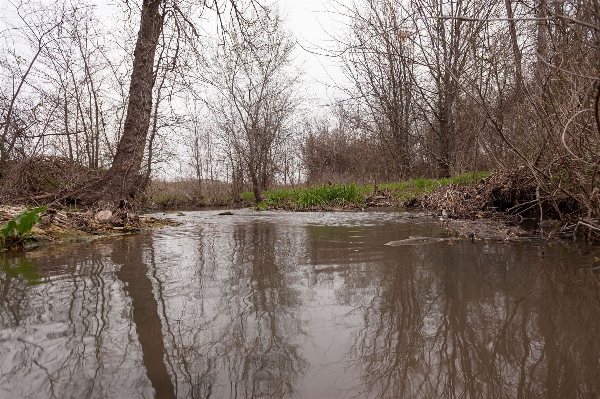 1.88 acres in Ellis County - photo 5