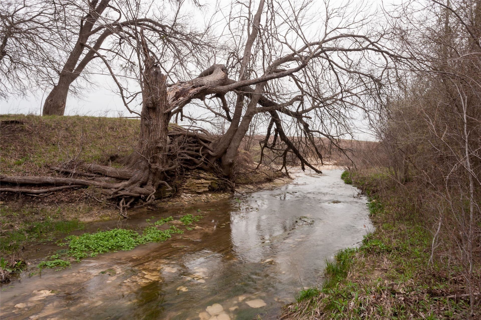1.88 acres in Ellis County - photo 2