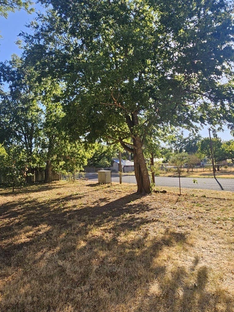 0.17 acres in Gillespie County gallery image 2