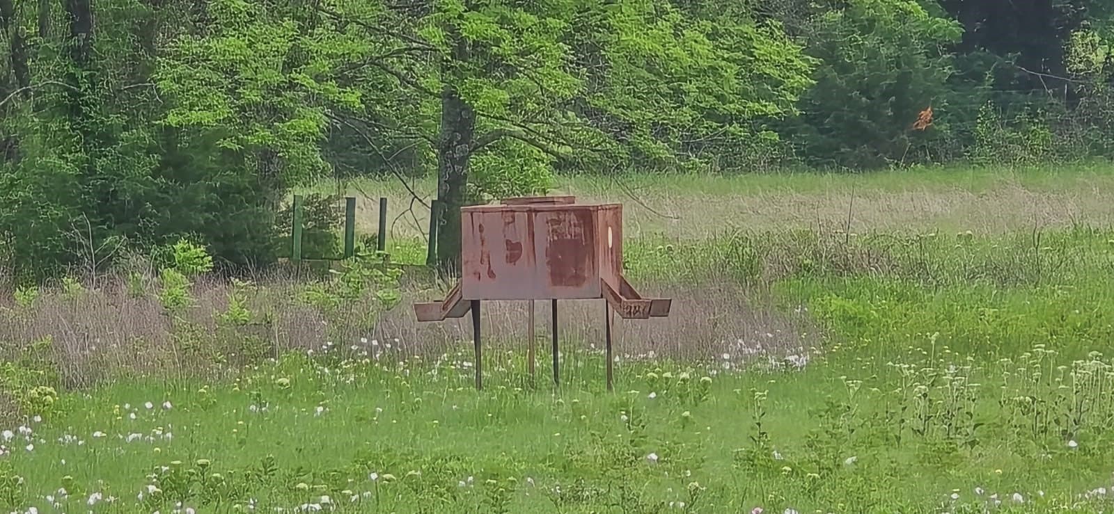 49.15 acres in Fannin County - photo 9