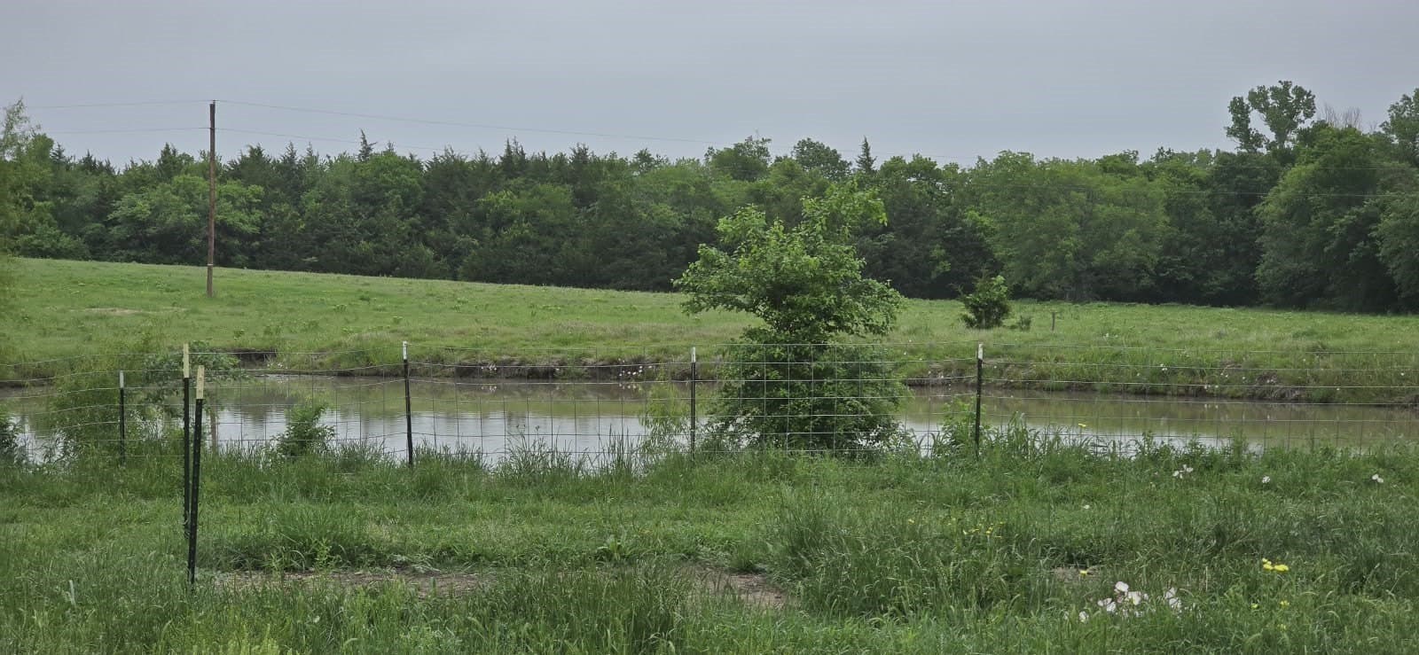 49.15 acres in Fannin County - photo 7