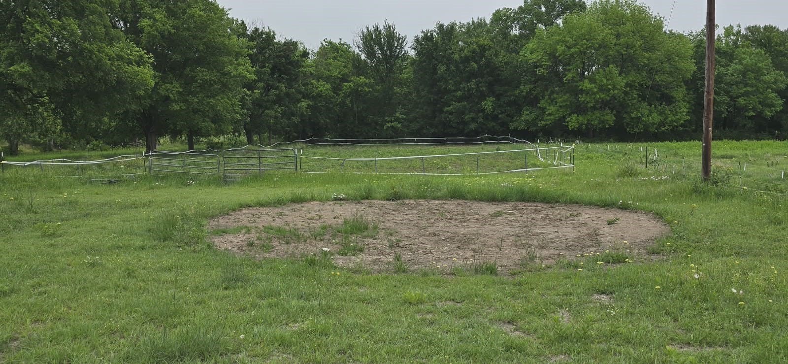 49.15 acres in Fannin County - photo 5