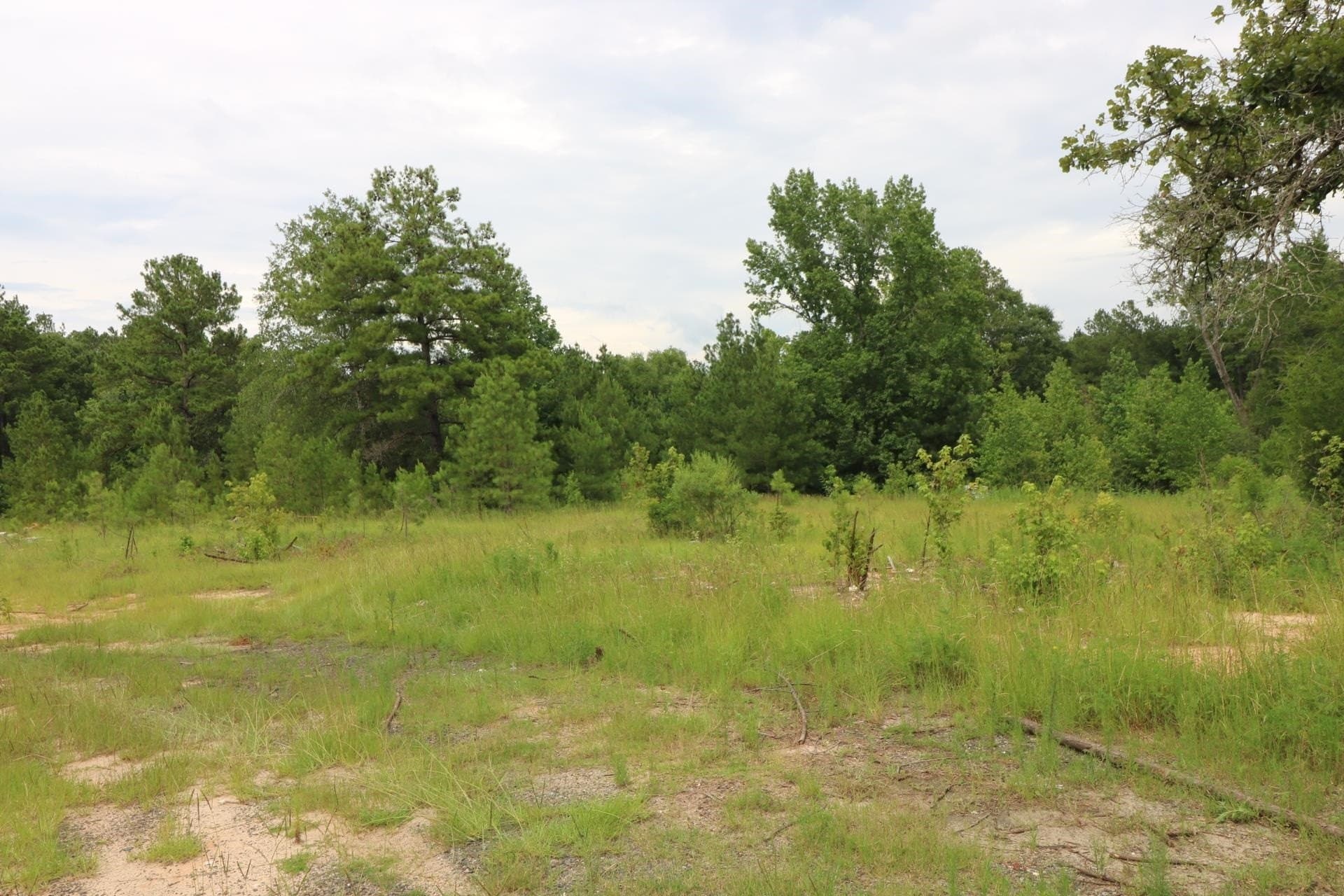 10 acres in Texas County gallery image 2