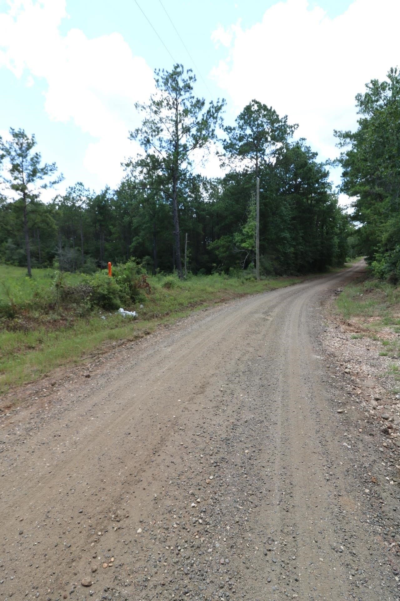 10 acres in Texas County gallery image 4