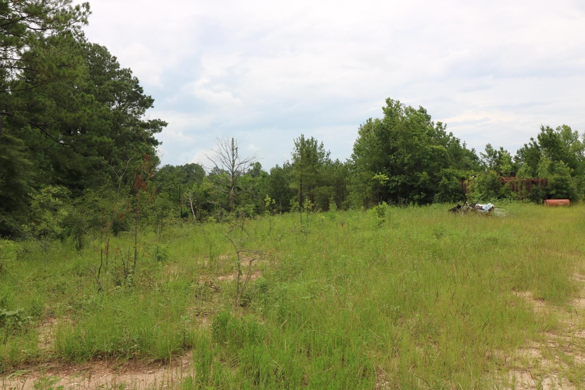 10 acres in Texas County