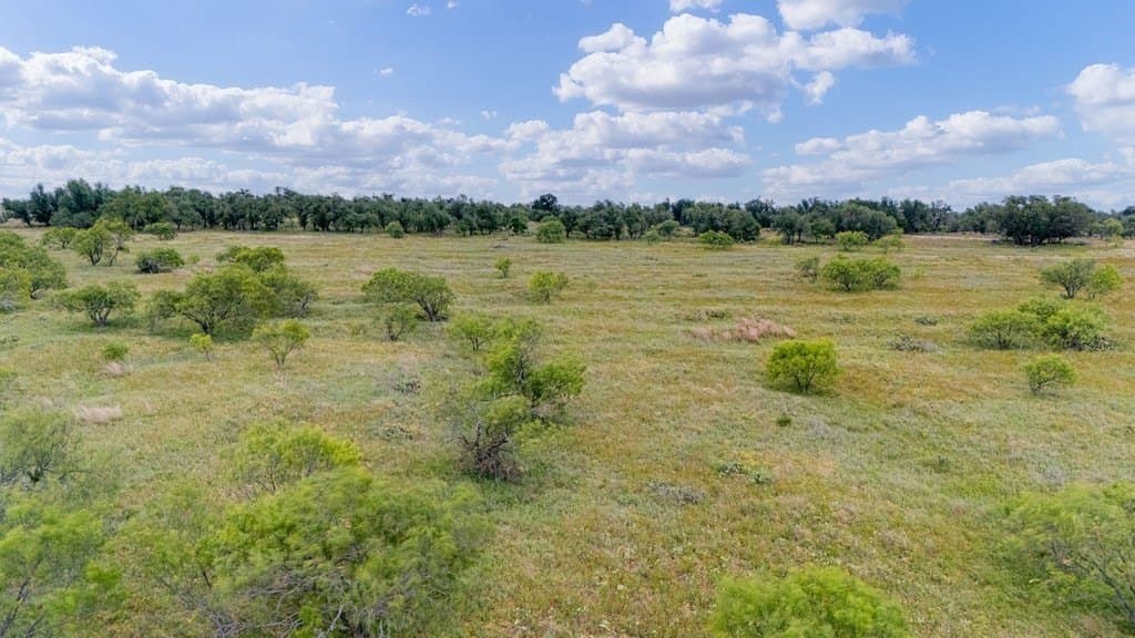 23.64 acres in Gillespie County - photo 40