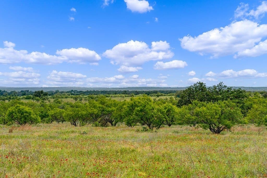 23.64 acres in Gillespie County - photo 9