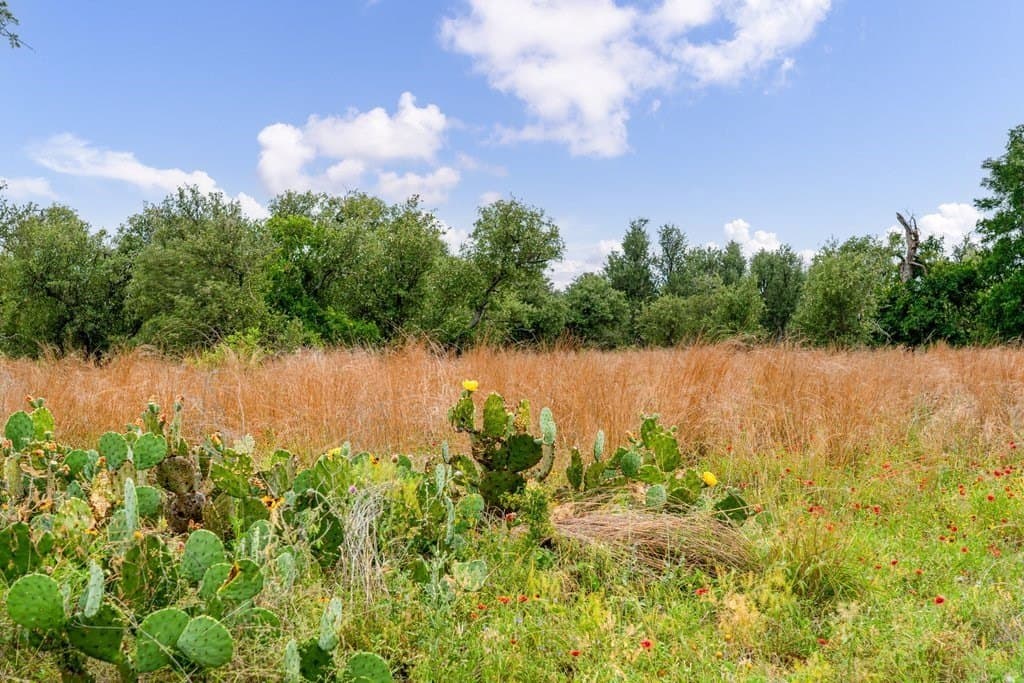 23.64 acres in Gillespie County featured view