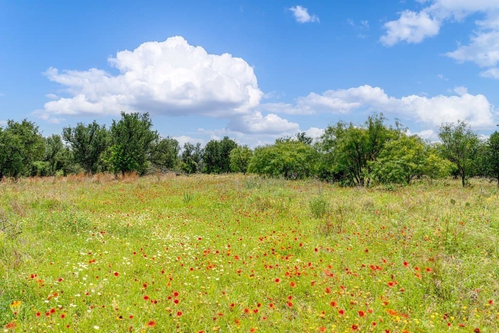 23.64 acres in Gillespie County - photo 7