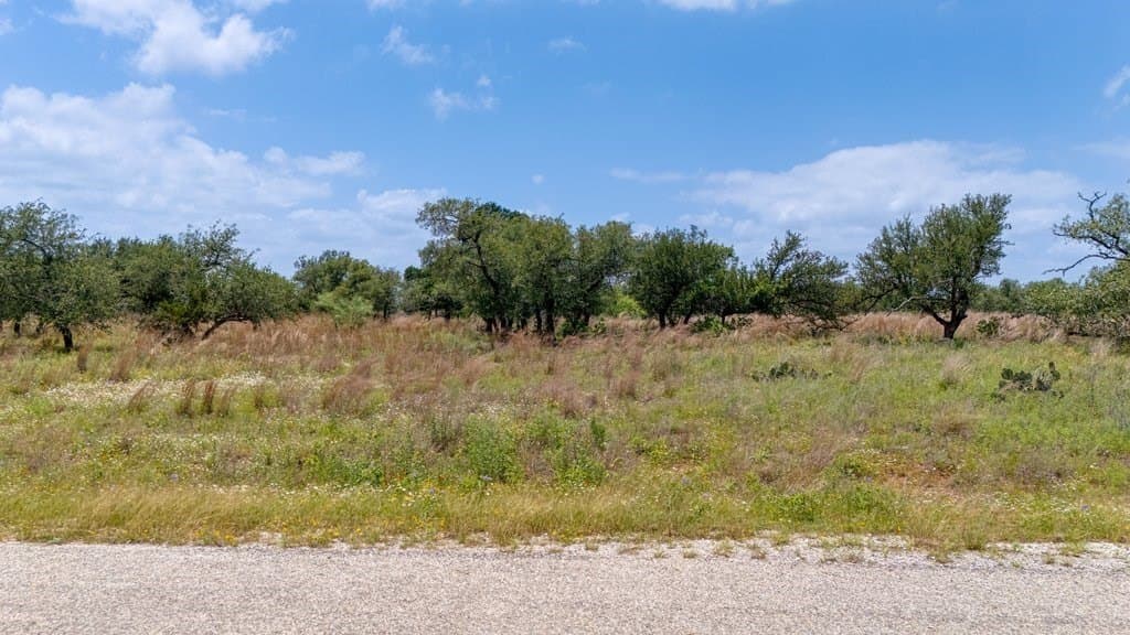 23.64 acres in Gillespie County - photo 24