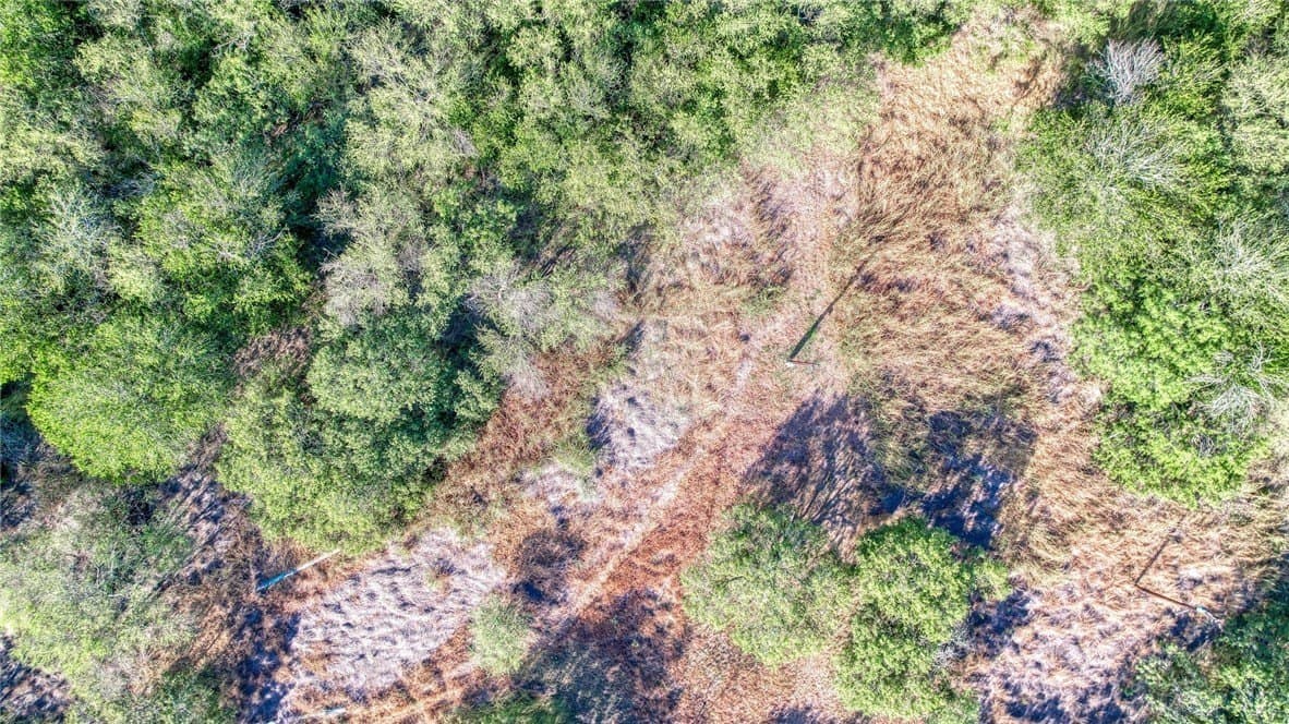 2.5 acres in Nueces County - photo 7