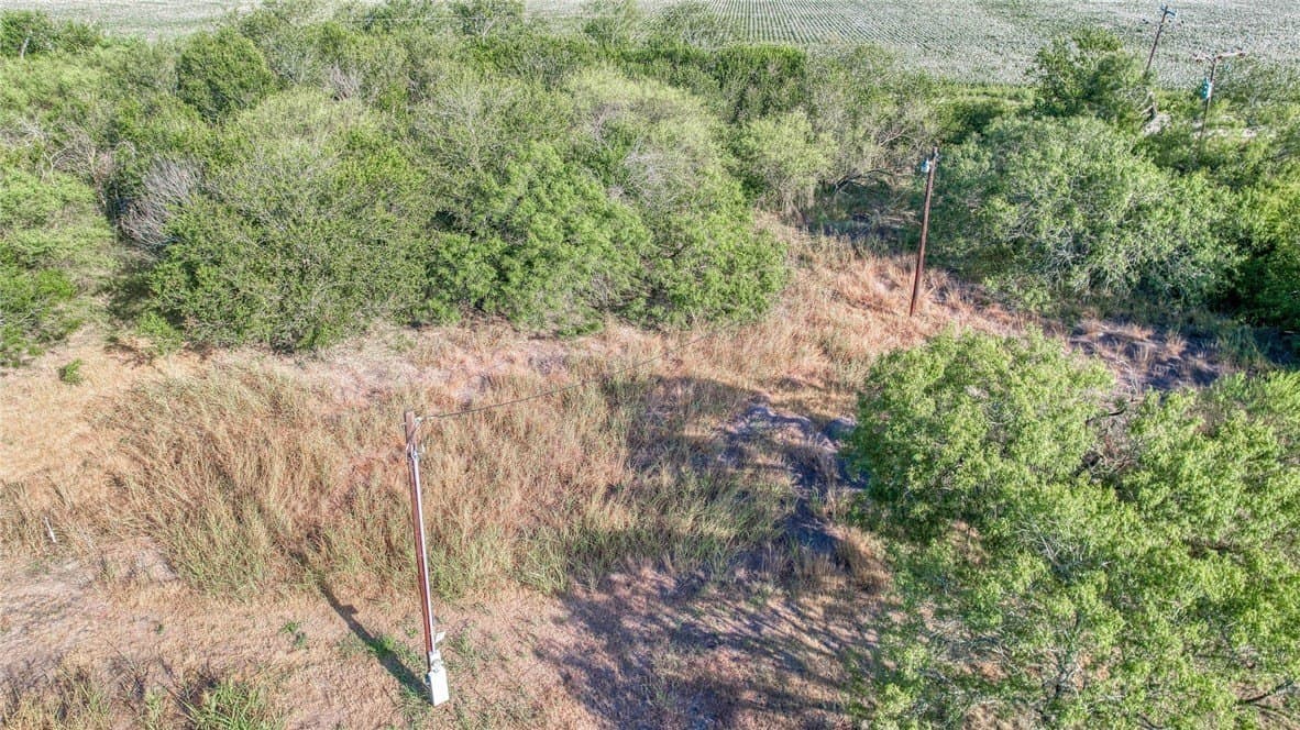 2.5 acres in Nueces County gallery image 3