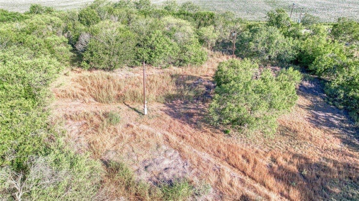 2.5 acres in Nueces County - photo 14