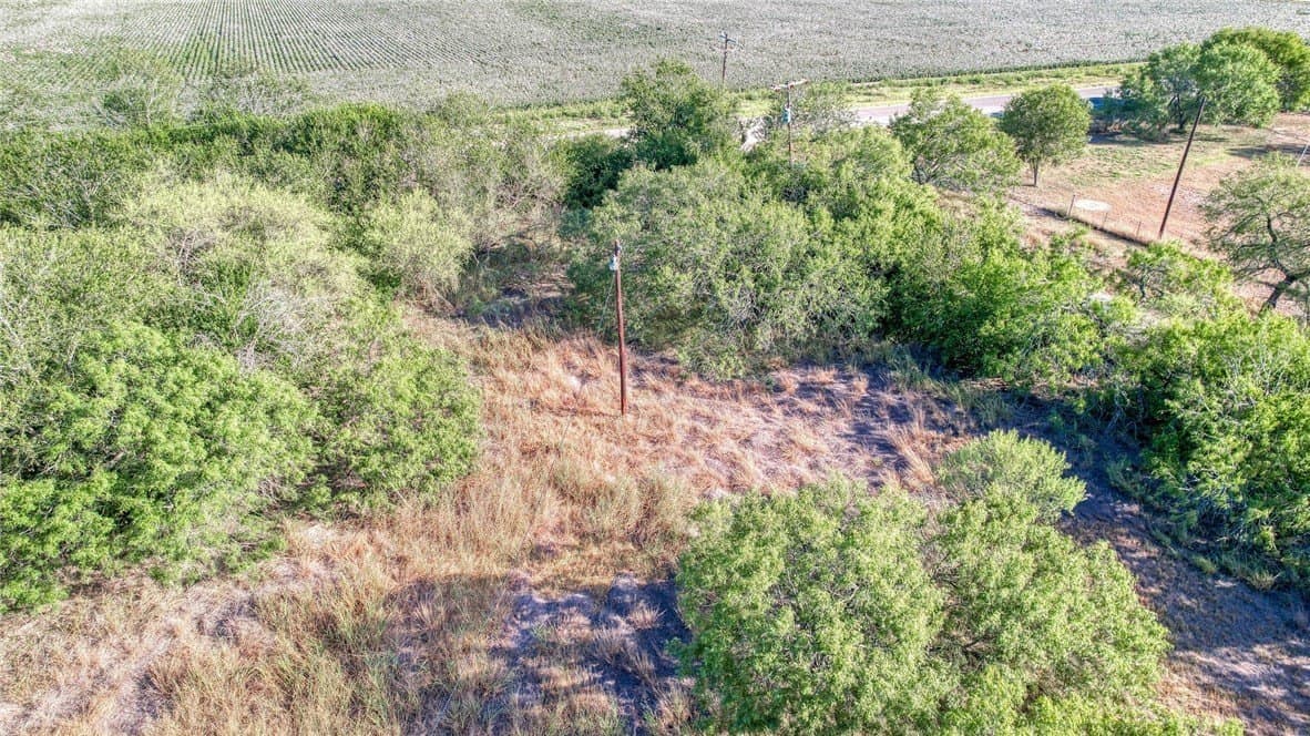 2.5 acres in Nueces County - photo 10