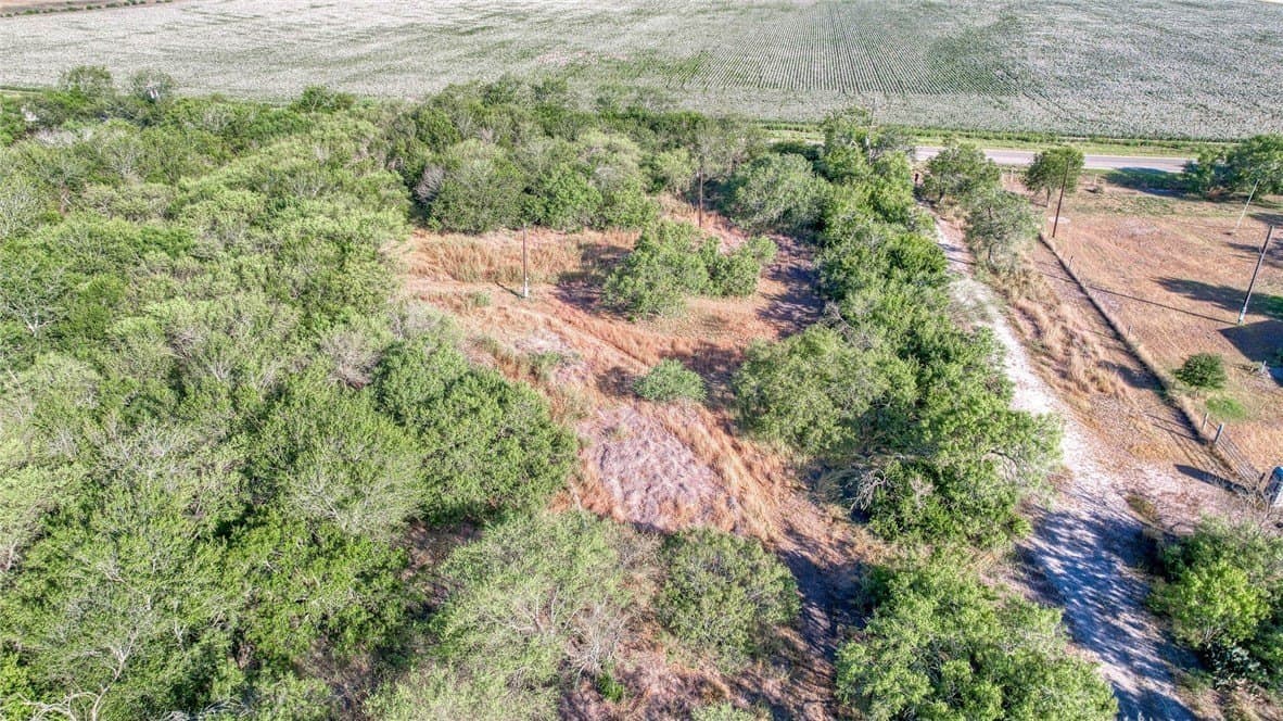 2.5 acres in Nueces County - photo 12
