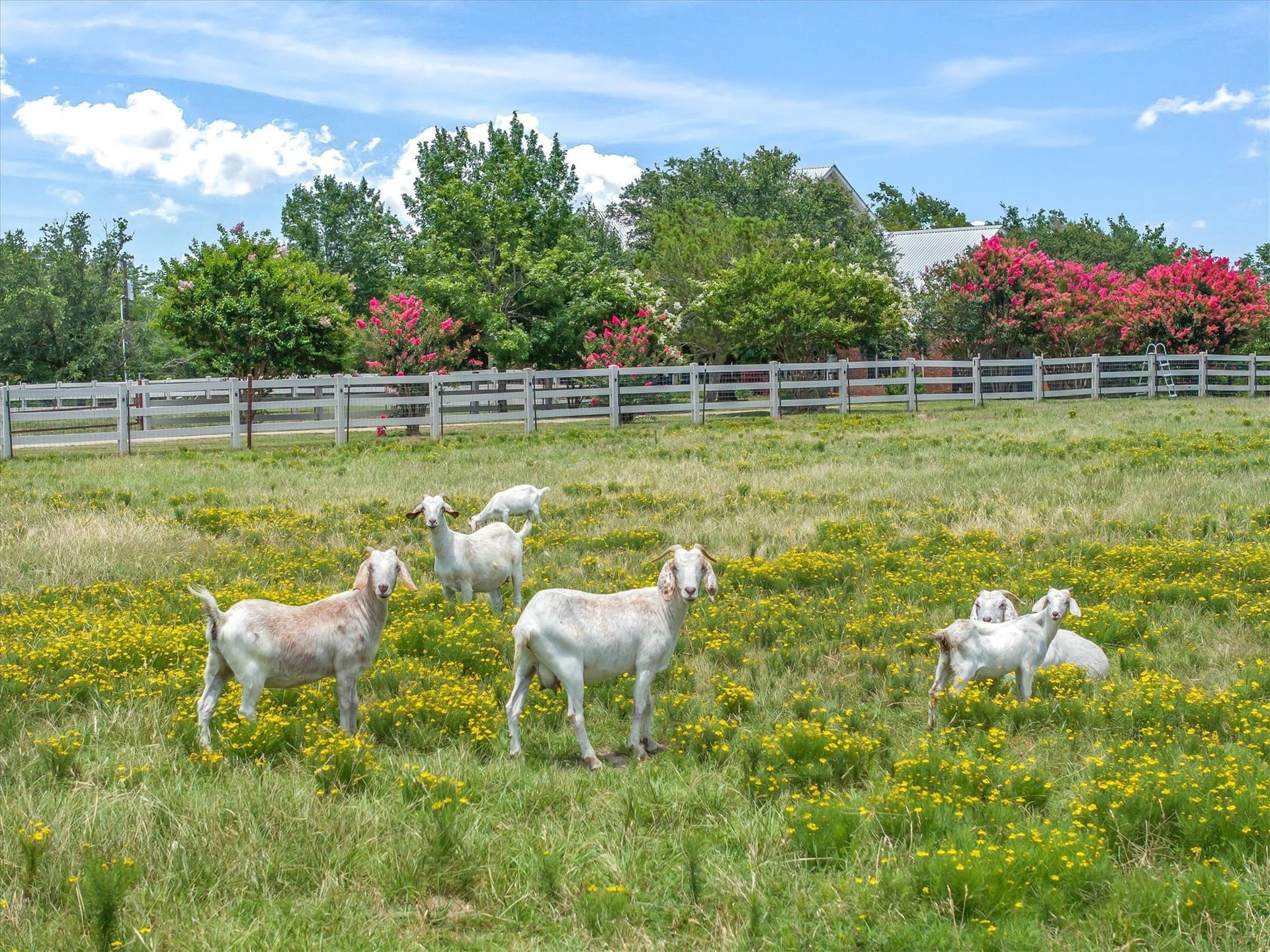 15 acres in Rockwall County - photo 33