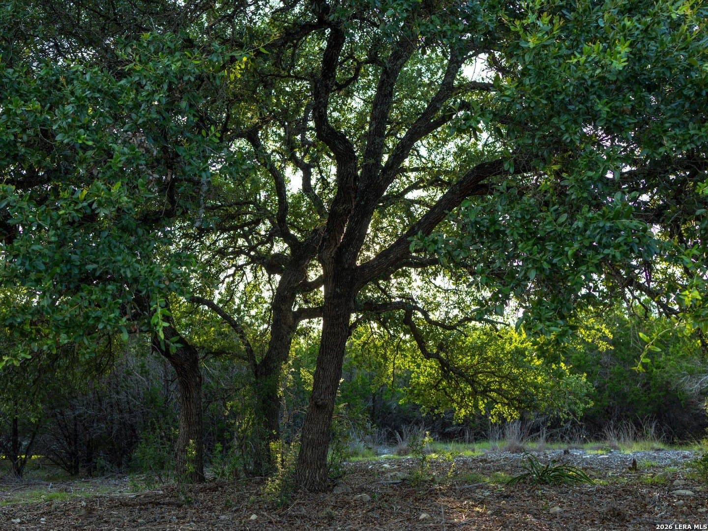 2.58 acres in Kendall County - photo 6