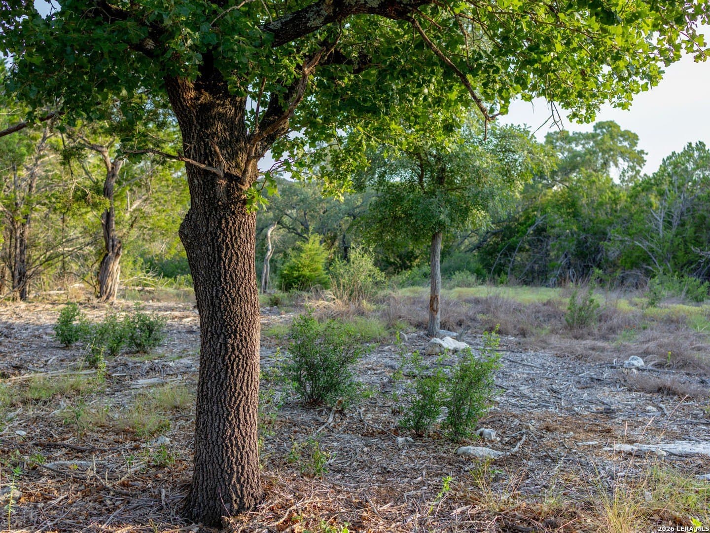 2.58 acres in Kendall County featured view