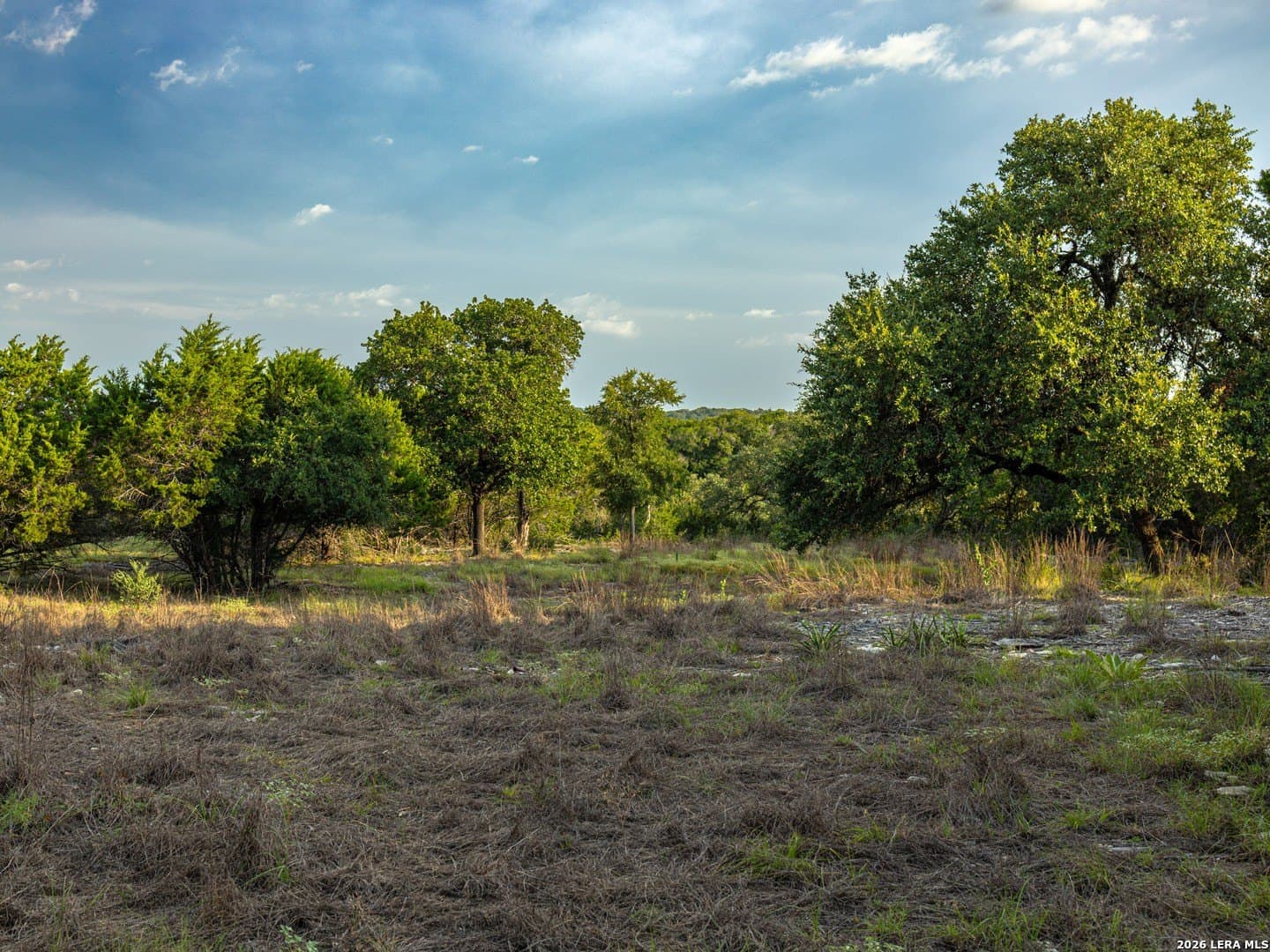 2.58 acres in Kendall County gallery image 4