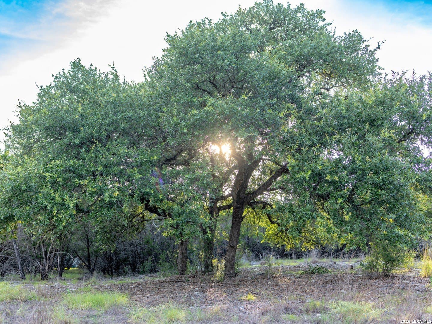 2.58 acres in Kendall County - photo 7