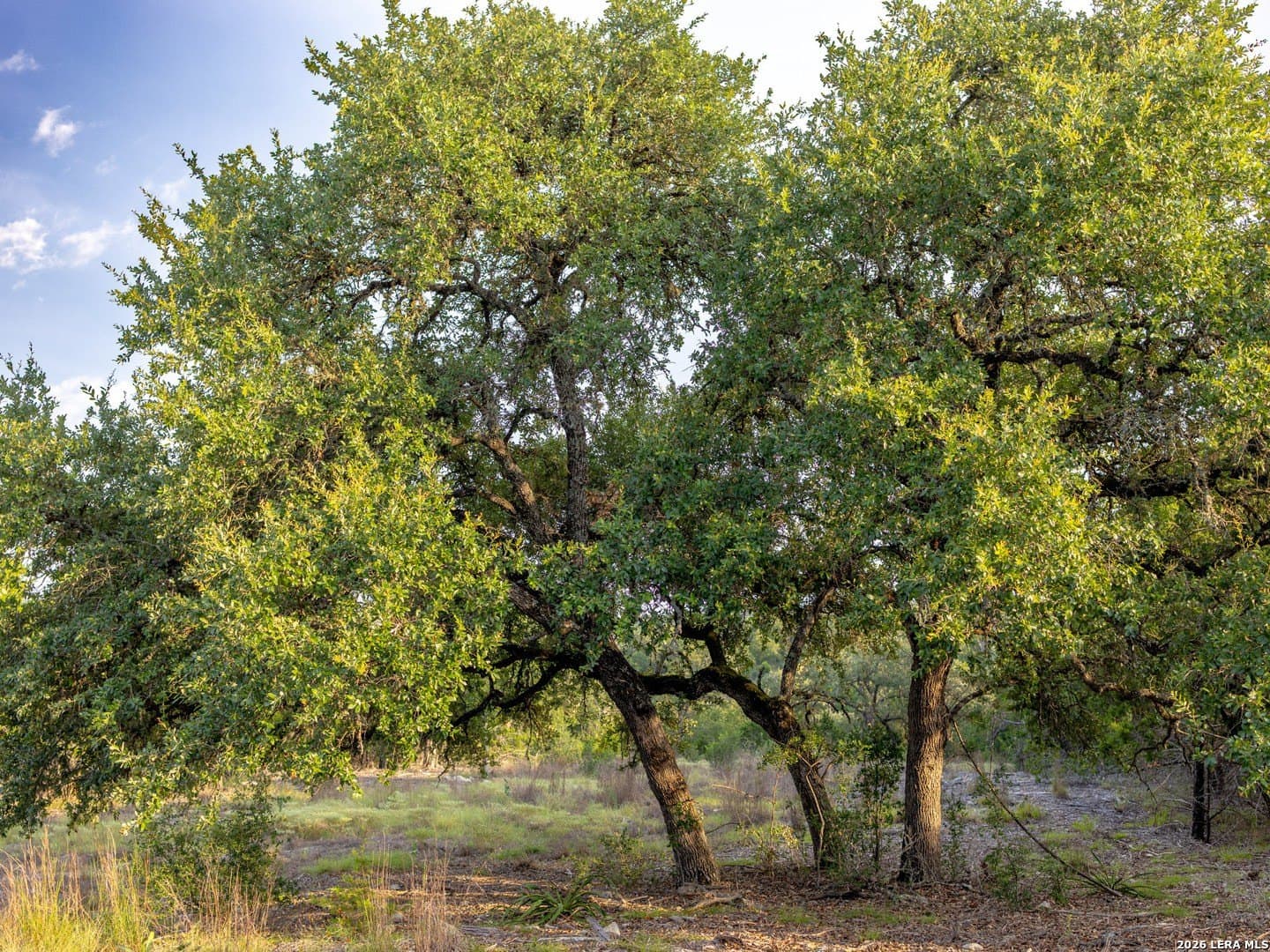 2.58 acres in Kendall County - photo 9