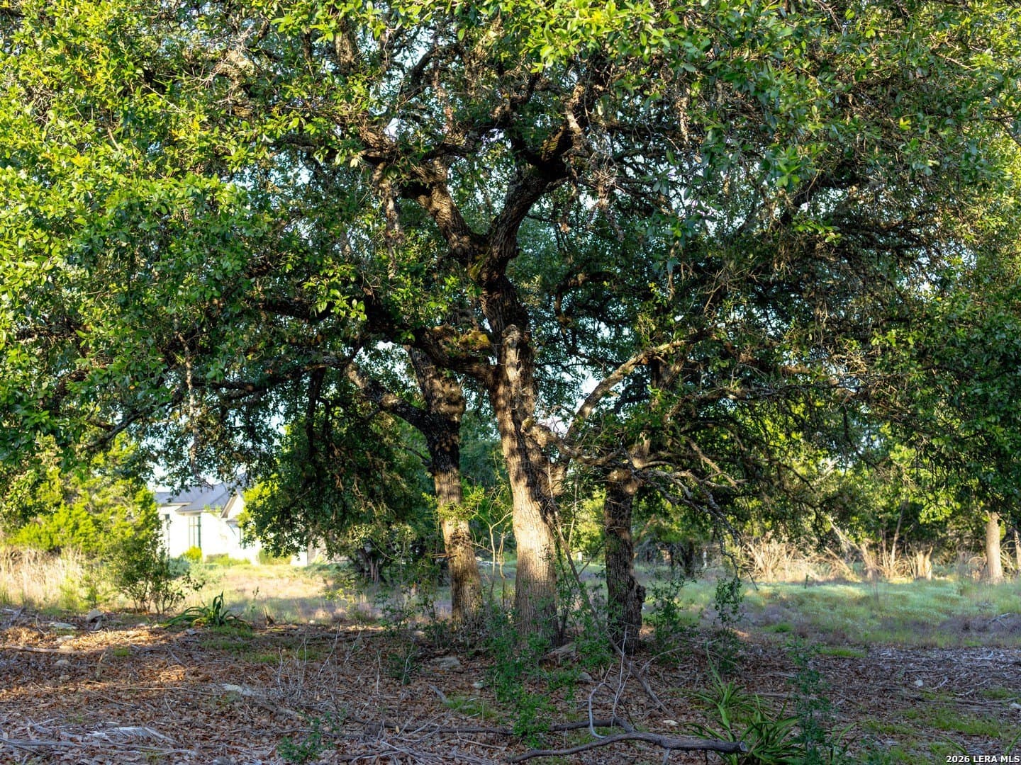 2.58 acres in Kendall County - photo 8