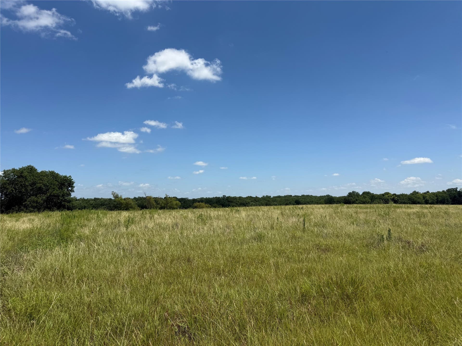 6.12 acres in Fannin County gallery image 2