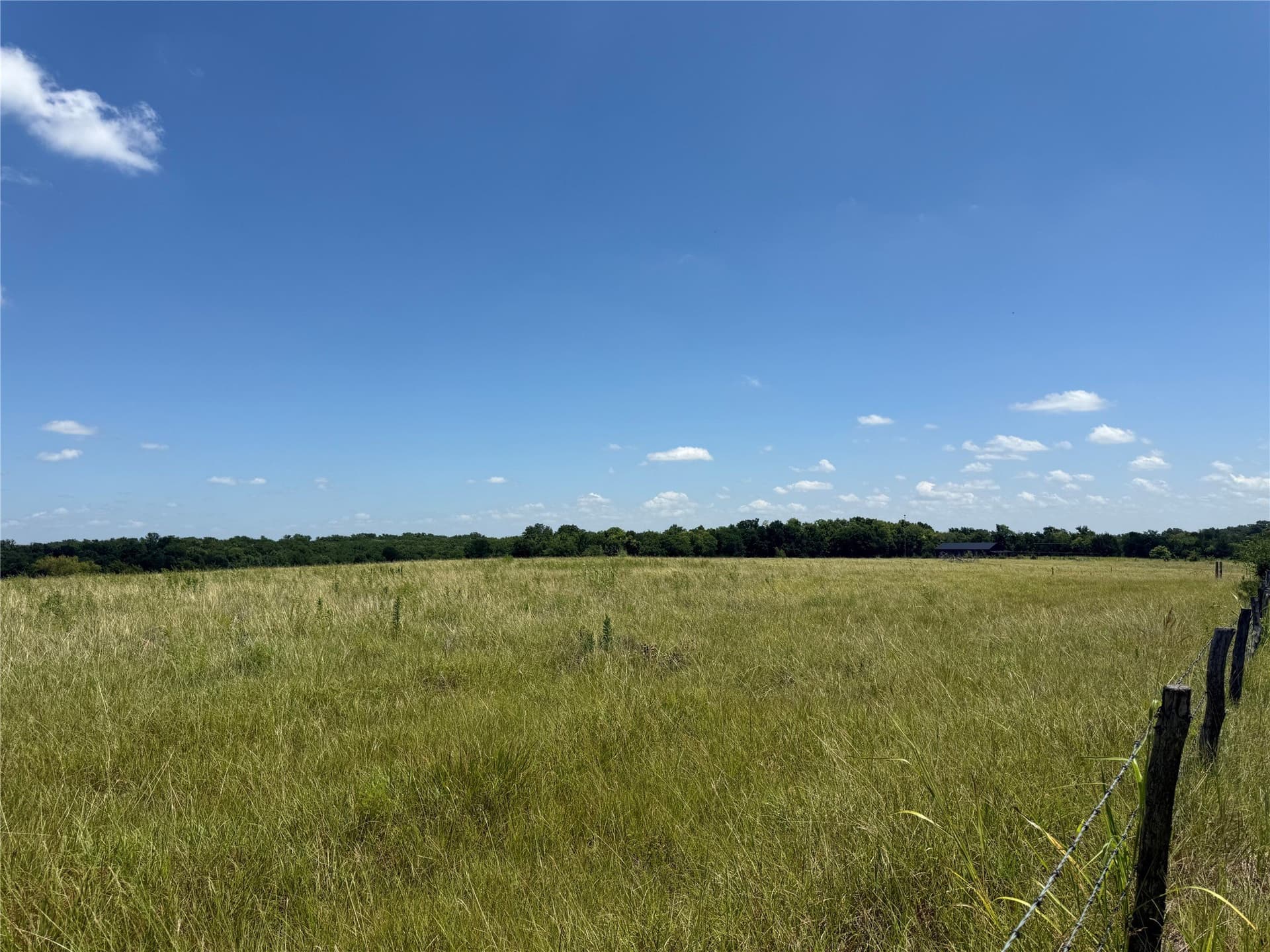 6.12 acres in Fannin County gallery image 3