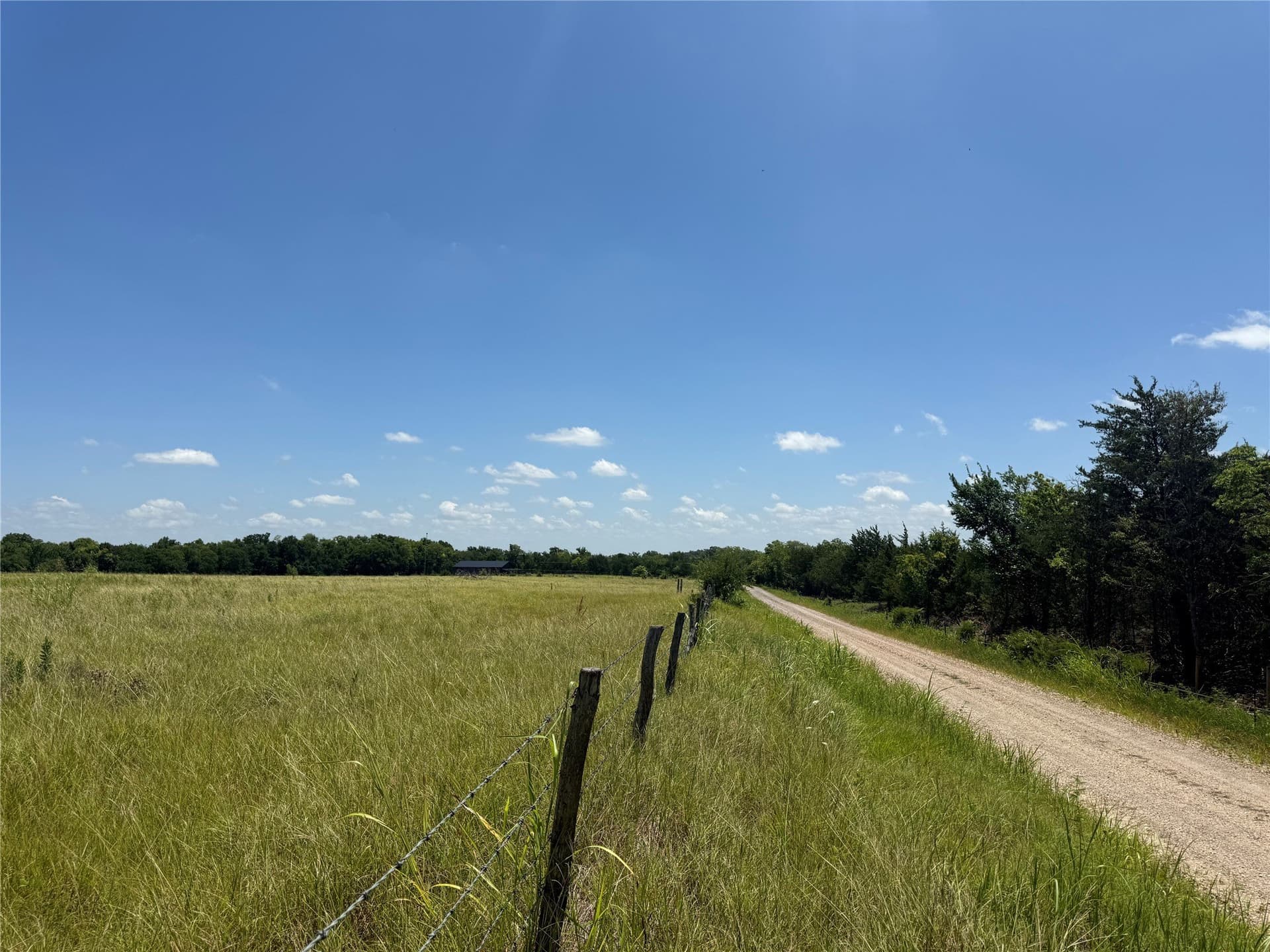 6.12 acres in Fannin County gallery image 4