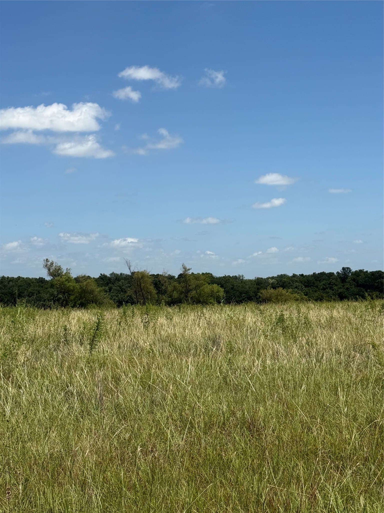 6.12 acres in Fannin County - photo 6
