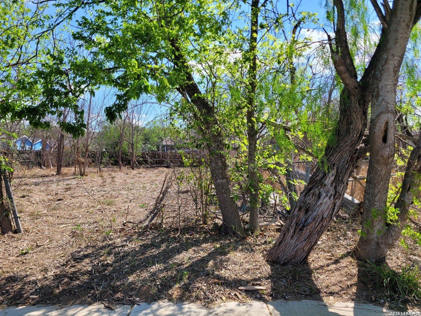 0.13 acres in Bexar County gallery image 2