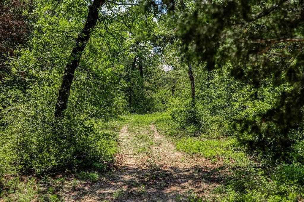 209.99 acres in Leon County - photo 17