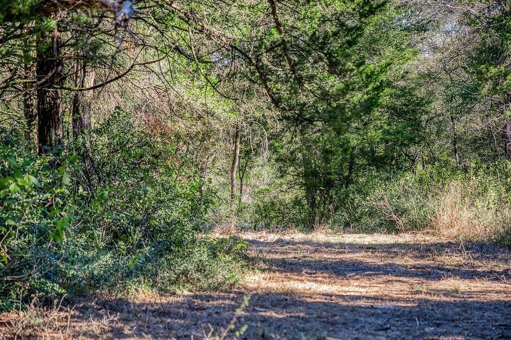 209.99 acres in Leon County - photo 28