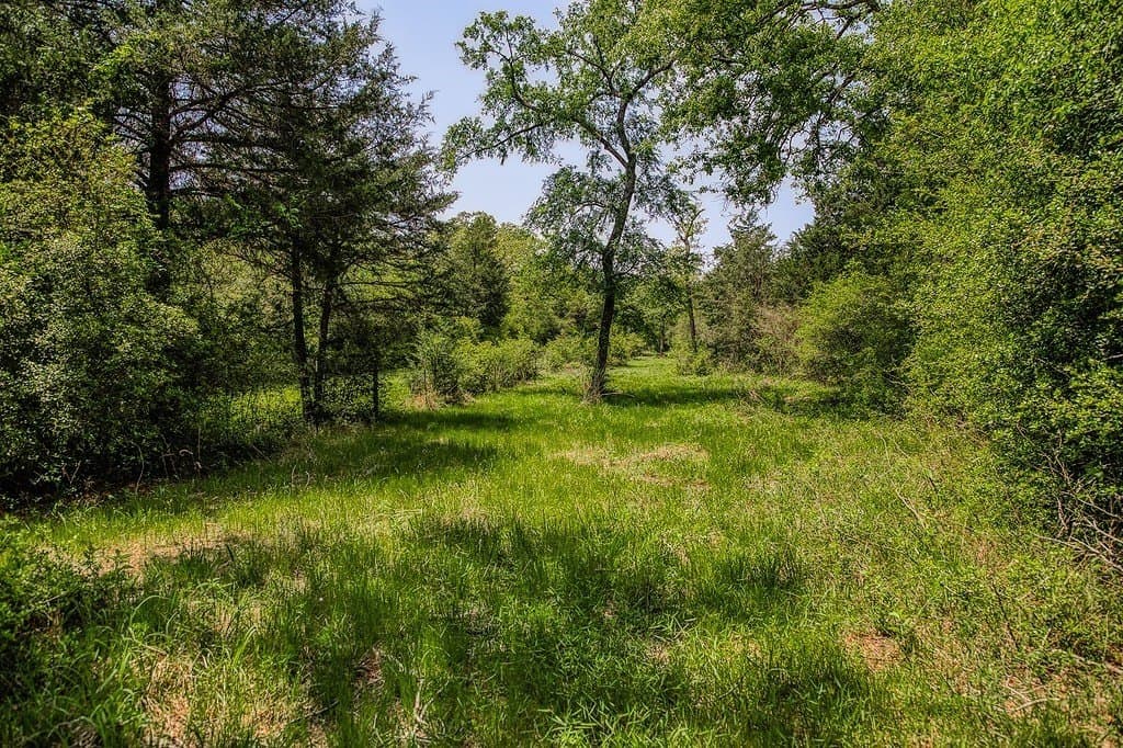 209.99 acres in Leon County - photo 6