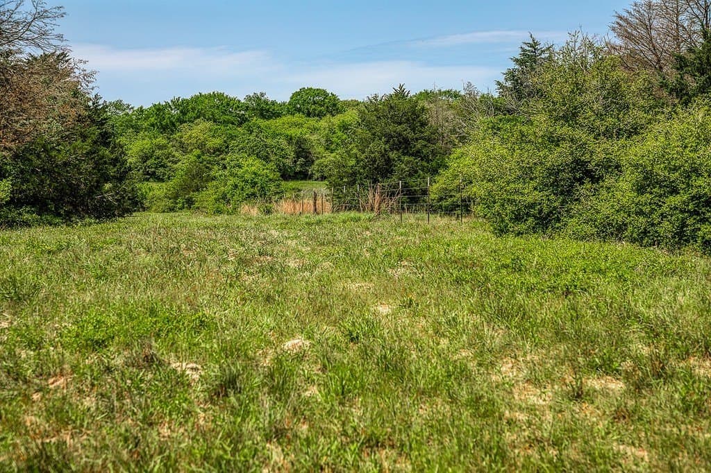 209.99 acres in Leon County gallery image 4