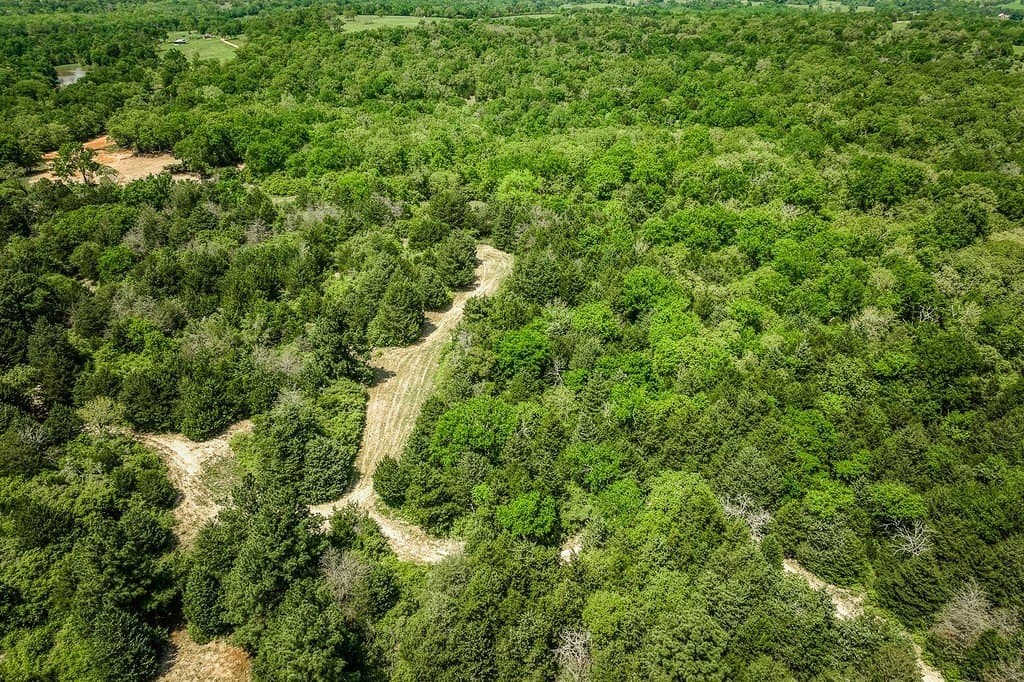 209.99 acres in Leon County gallery image 2