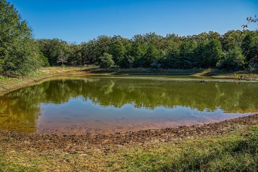 209.99 acres in Leon County - photo 12