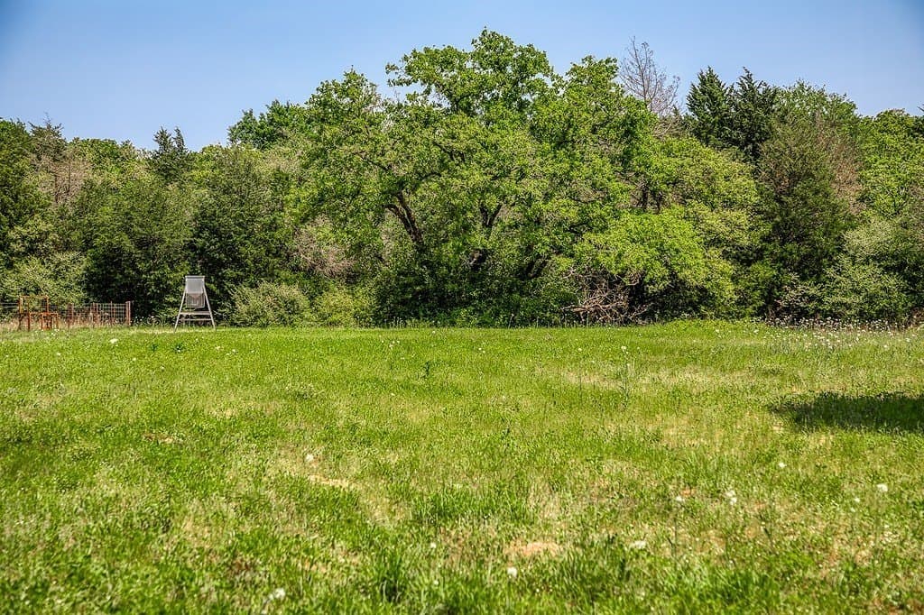 209.99 acres in Leon County - photo 13