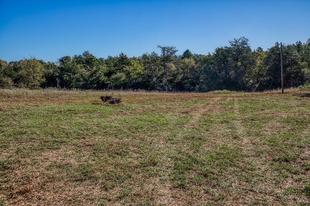 209.99 acres in Leon County - photo 20