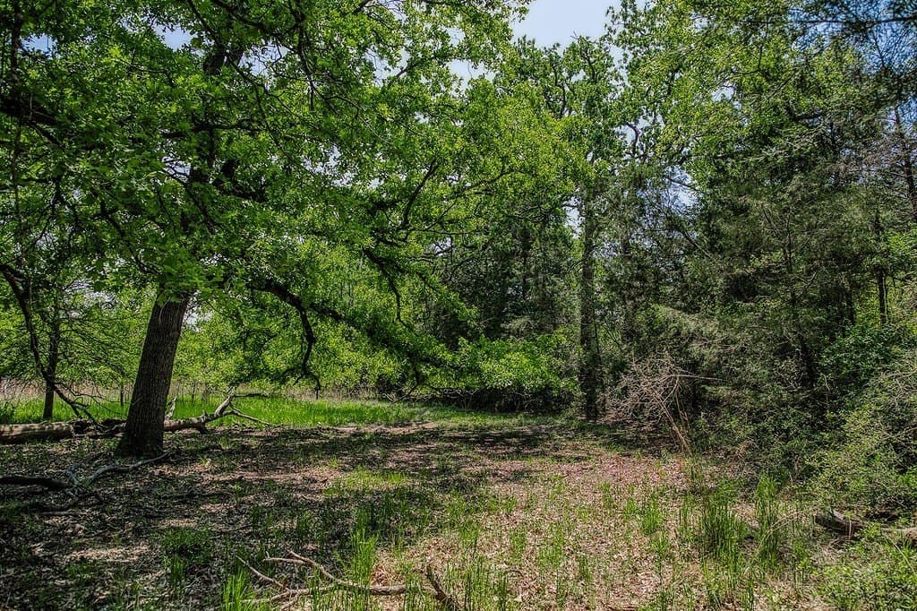 209.99 acres in Leon County - photo 15