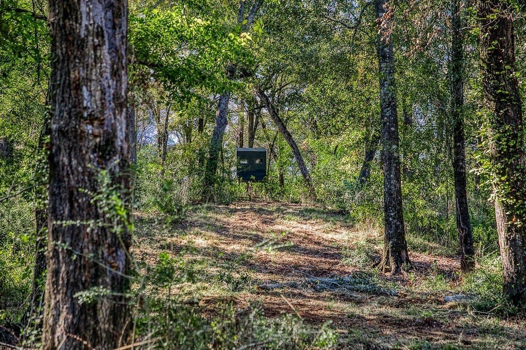209.99 acres in Leon County - photo 26