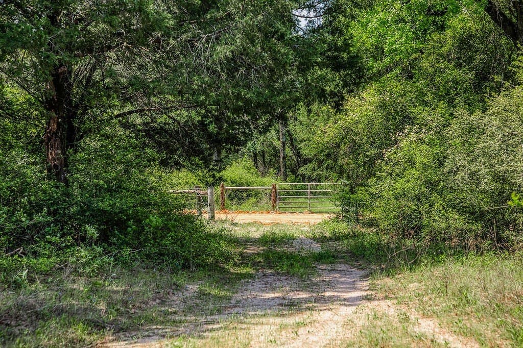 209.99 acres in Leon County - photo 19