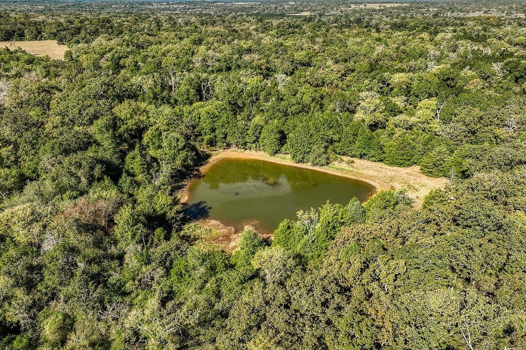 209.99 acres in Leon County - photo 10