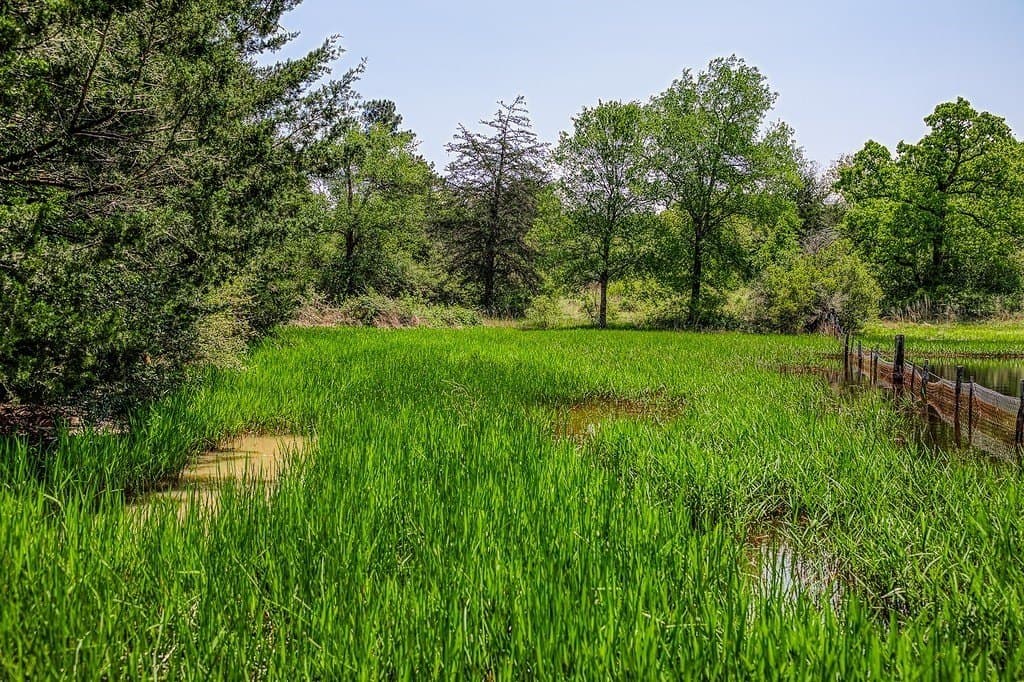 209.99 acres in Leon County - photo 7