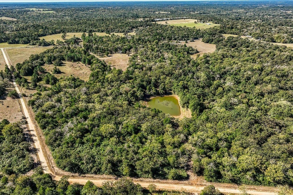 209.99 acres in Leon County - photo 30
