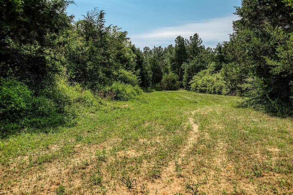 209.99 acres in Leon County - photo 18