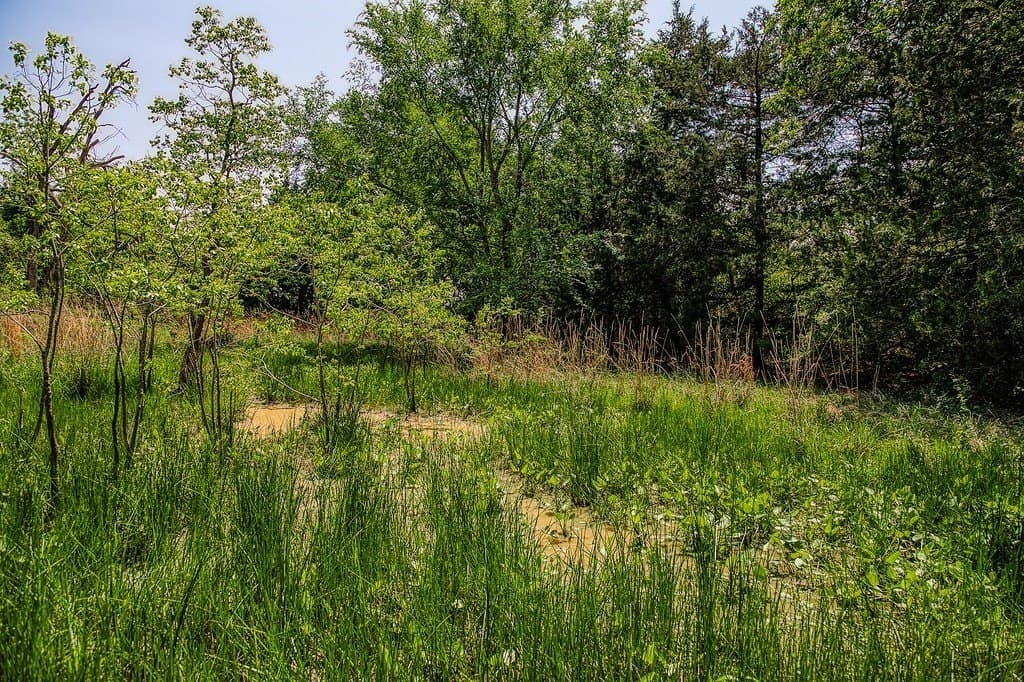 209.99 acres in Leon County - photo 16